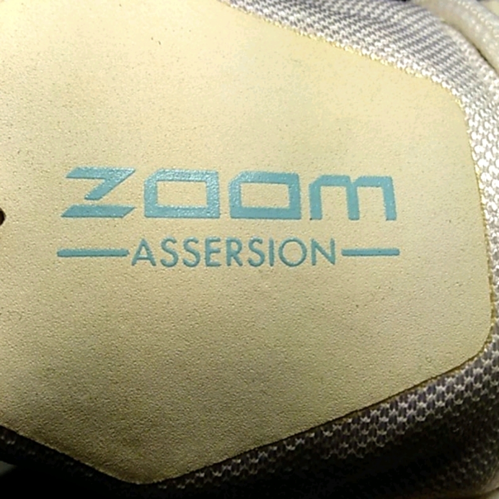 Nike Zoom Assersion Size 10